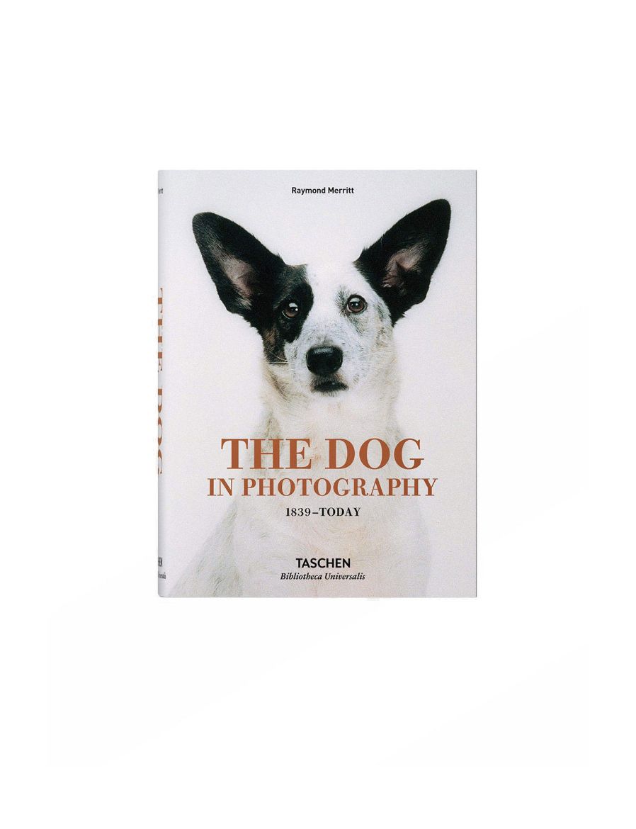 Taschen Dog In Photography 9783836567473