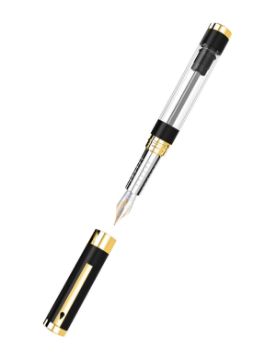 Diplomat Nexus Demo Siyah-Altın Dolma Kalem - F Uç D40553013