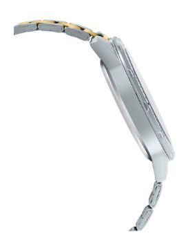 Casio Standard MTP-VD300SG-1EUDF