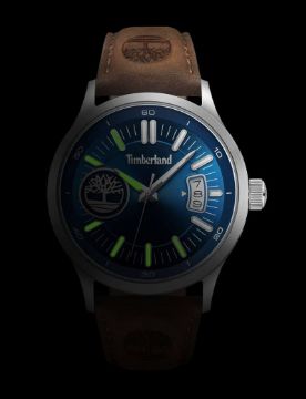 Timberland Trumbul TDWGB0041005