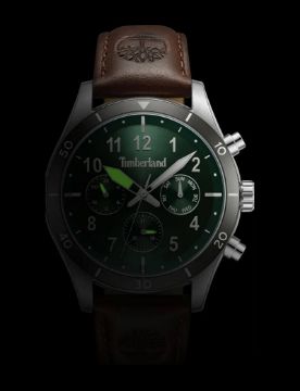 Timberland Ashmont TDWGF0054702