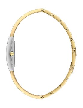 Essence Quartz Kadın Kol Saati D1215.220