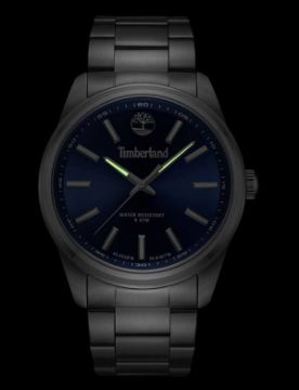 Timberland Northbridge TDWGG0010805