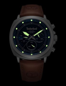 Timberland Williston TDWGF0042001