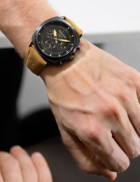 Timberland Williston TDWGF0042002