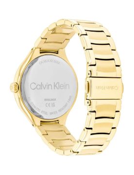 Calvin Klein Quartz Kadın Kol Saati CK25100048