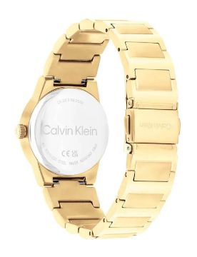 Calvin Klein Quartz Kadın Kol Saati CK25100077