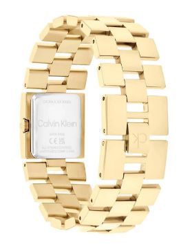 Calvin Klein Quartz Kadın Kol Saati CK25100089