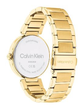 Calvin Klein Quartz Kadın Kol Saati CK25200252