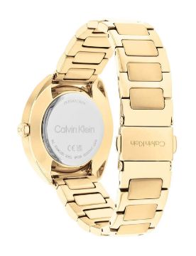 Calvin Klein Quartz Kadın Kol Saati CK25200276