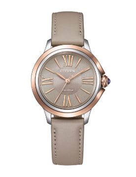 Citizen Eco-Drive EM1166-01Z