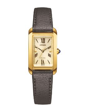 Citizen Eco-Drive EW5622-09P