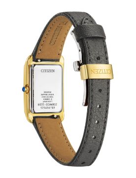 Citizen Eco-Drive EW5622-09P