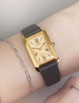 Citizen Eco-Drive EW5622-09P