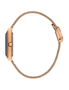 Essence Quartz Kadın Kol Saati D1213.490