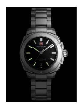 Swiss Military Sirius 40 mm Quartz Saat SMWGH0006501