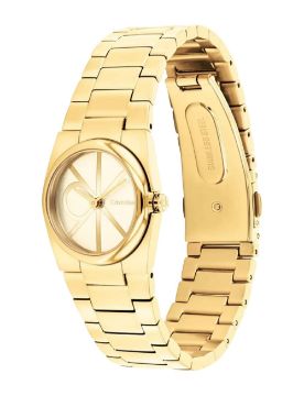 Calvin Klein CK Unite 26 mm Quartz Saat CK25100127