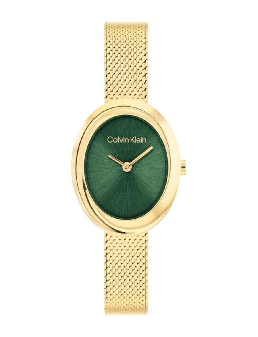 Calvin Klein Twisted Bezel 24 mm Quartz Saat CK25100152