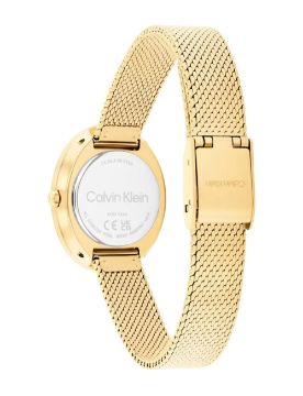 Calvin Klein Twisted Bezel 24 mm Quartz Saat CK25100152