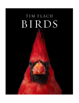 Abrams Birds: Photographs 9781419747618