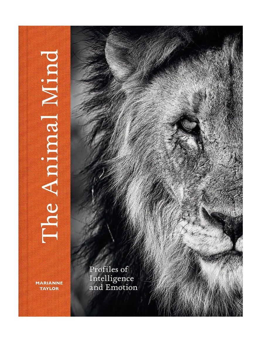 Abrams The Animal Mind: Profiles of Intelligence and Emotion 9781419768491