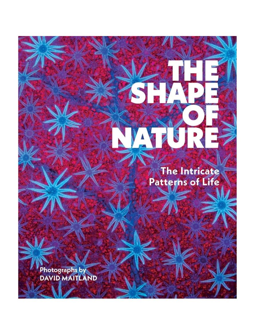 Abrams The Shape of Nature: The Intricate Patterns of Life 9781419779794