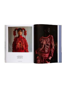 Gestalten Glitches & Glory: The Digitally Rewired Art of David Szauder 9783967042047