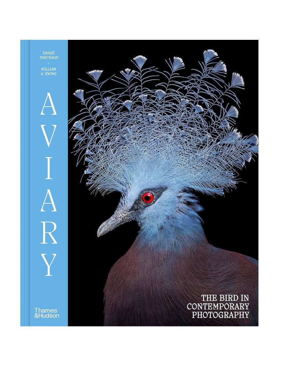 Thames & Hudson Aviary: The Bird in Contemporary Photography 9780500029084
