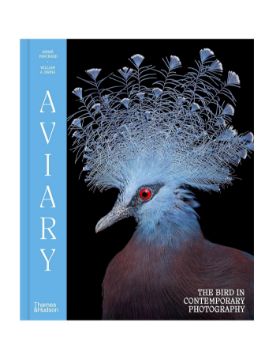 Thames & Hudson Aviary: The Bird in Contemporary Photography 9780500029084