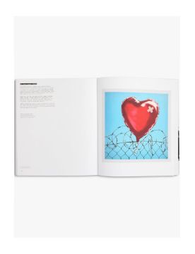 Thames & Hudson Banksy: The Prints 9780500028582