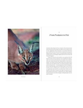 Thames & Hudson Cat Tales: A History 9780500029534