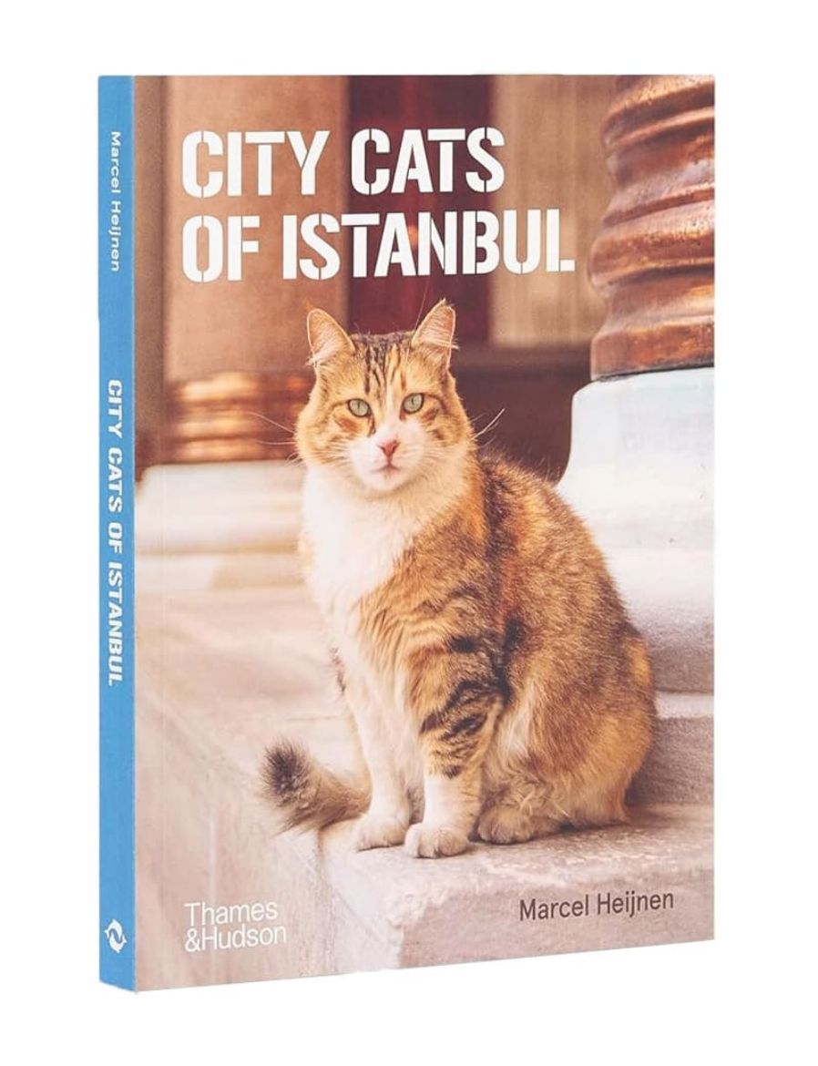 Thames & Hudson City Cats of Istanbul 9780500298411