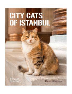 Thames & Hudson City Cats of Istanbul 9780500298411