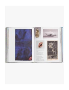 Thames & Hudson Slow Looking: The Art of Nature 9781760764739