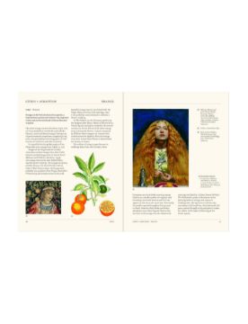 Thames & Hudson The Secret Language of Plants 9780500028179