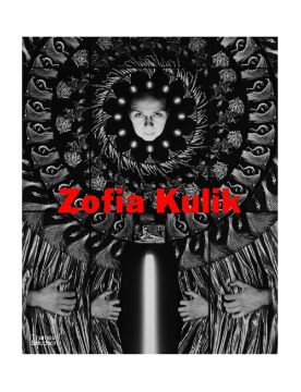 Thames & Hudson Zofia Kulik: Works 9780500030301