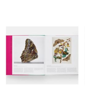  Phaidon Butterfly: Exploring the World of Lepidoptera 9781838669379